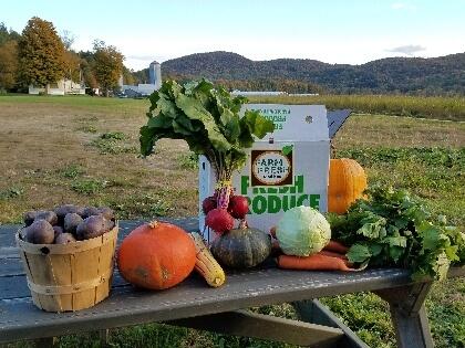 image description: potatoes, squash, greens and other bright vegetables on a picnic table under a blue sky