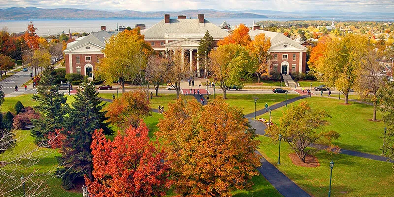 Photo of foliage on UVM's Main Green