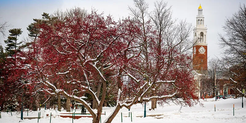 UVM Green in winter, with Ira Allen tower in distance