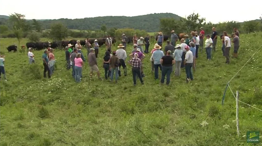 Farmers in a Pasture