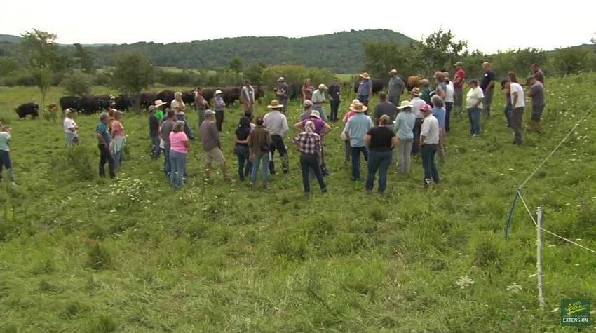 Farmers in a Pasture