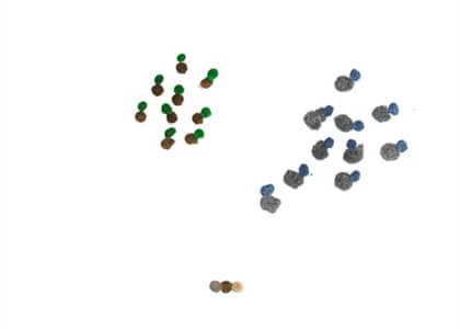 Array