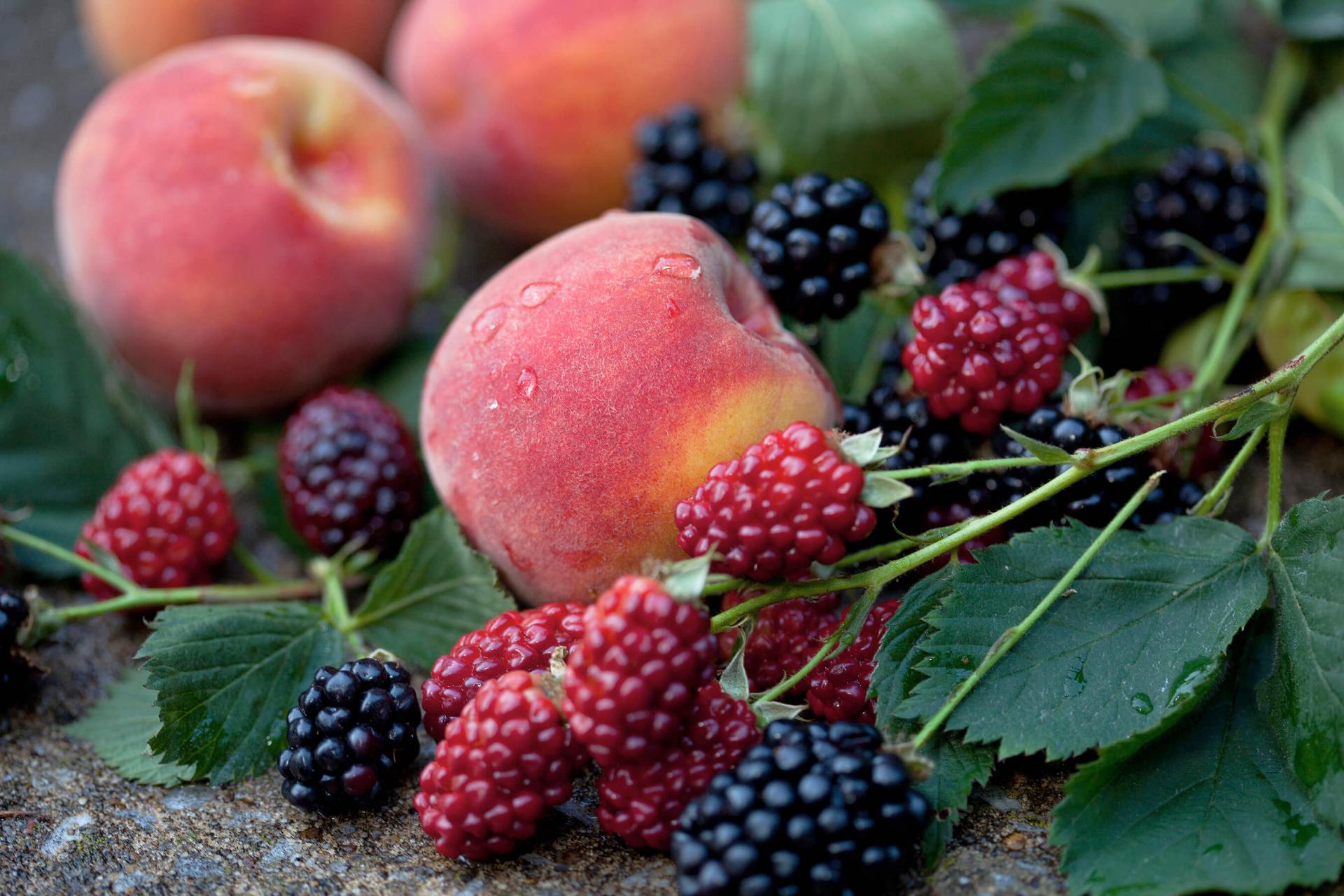 ripe peaches with blackberries