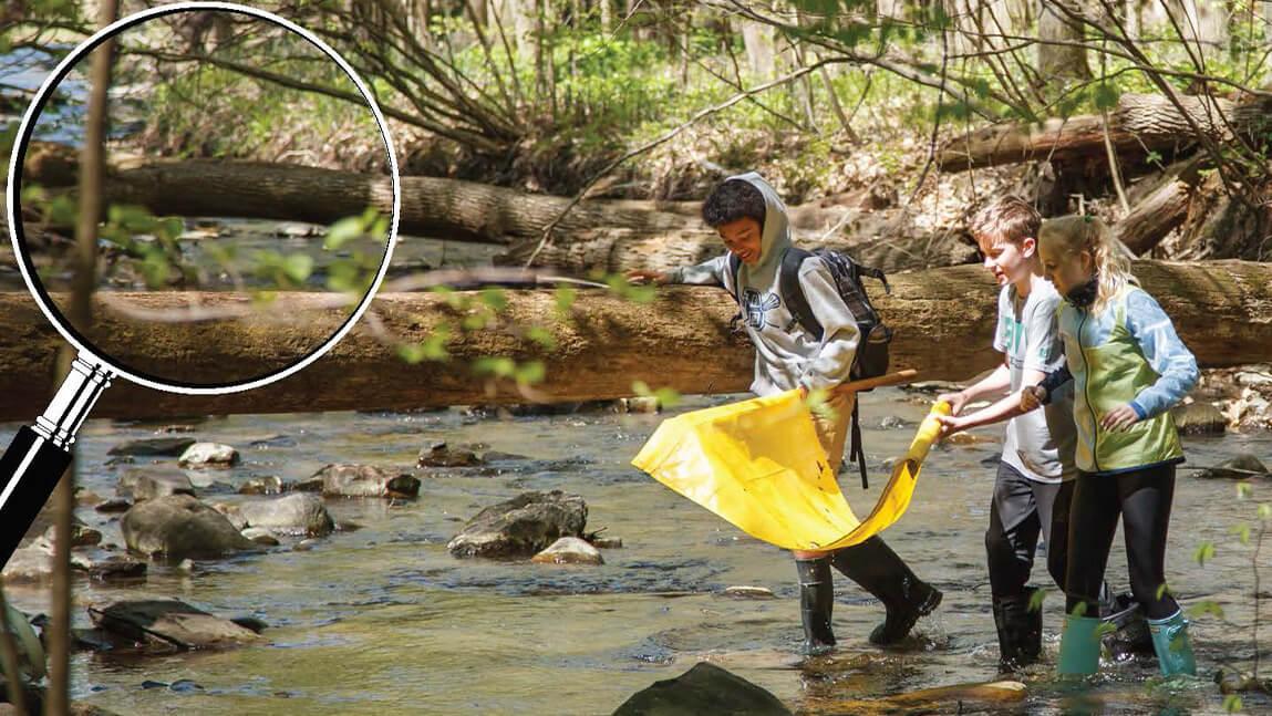 children exploring stream