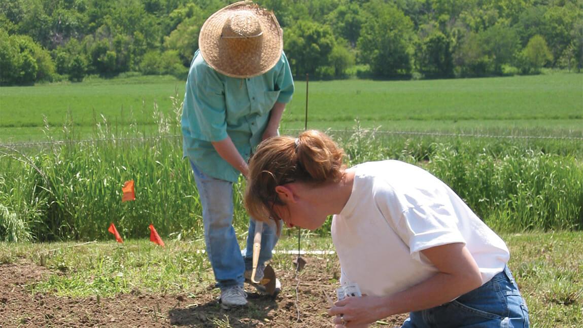 women planting on farm