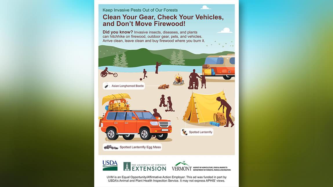 a small version of a poster for a campaign to stop invasive pests