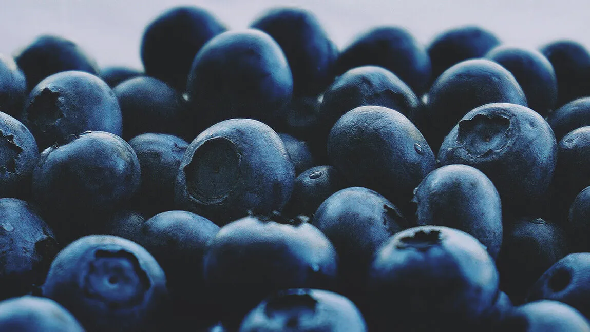 closeup of a lot of blueberries