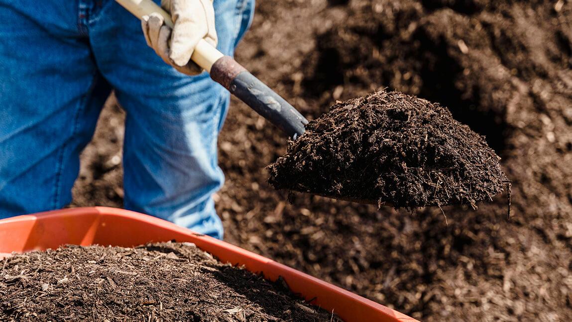 someone shoveling compost