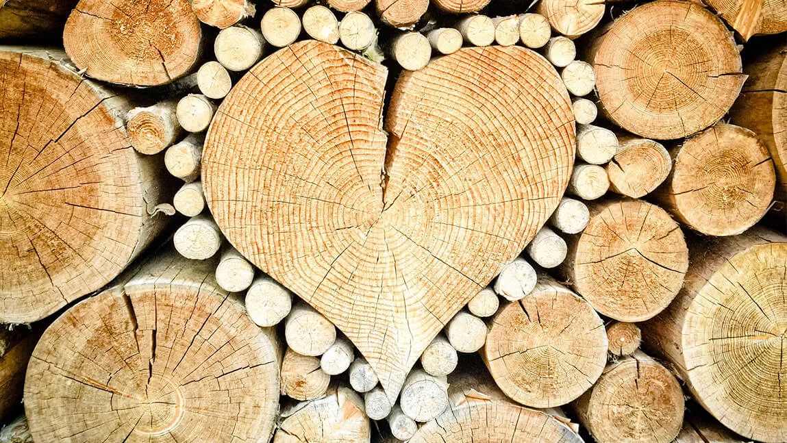 firewood stacked in a heart shape