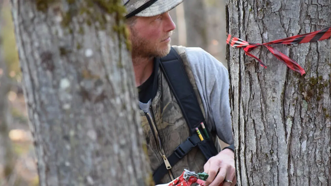 maple farmer in between trees