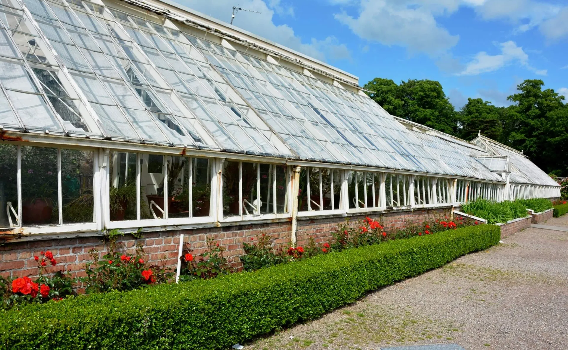 old greenhouse