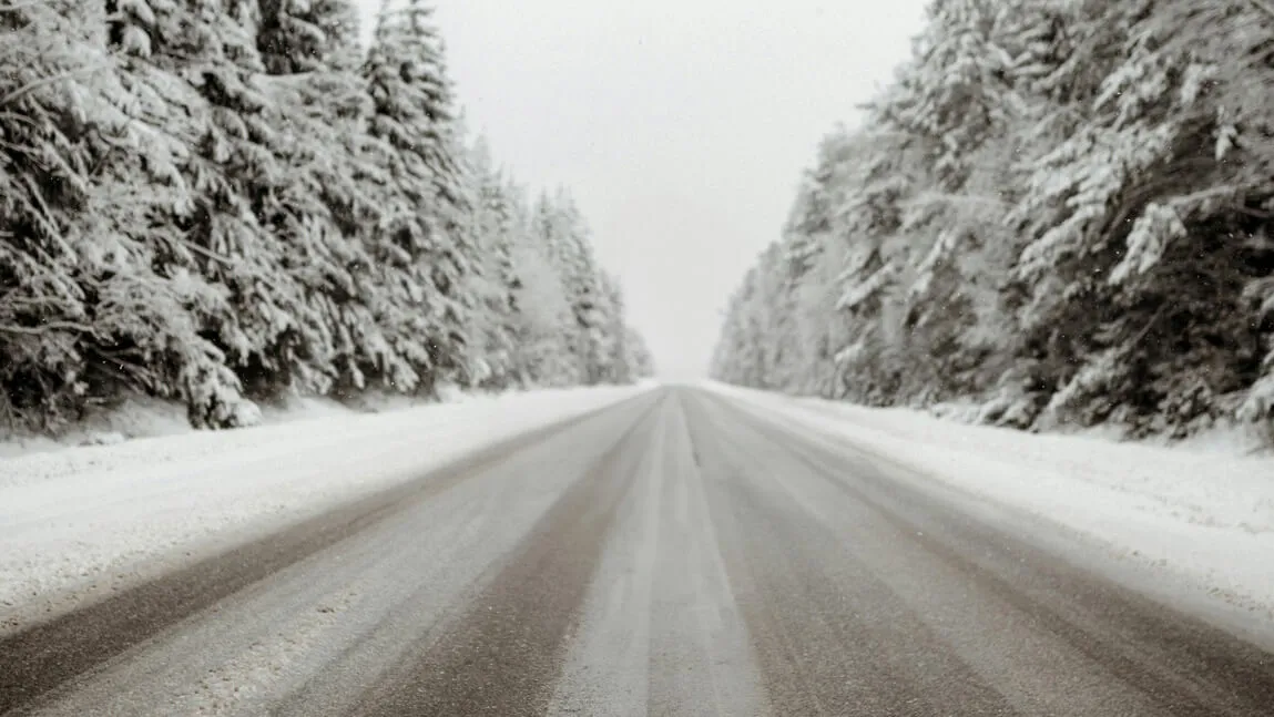 a snowy road running between swaths of snow-covered pine trees