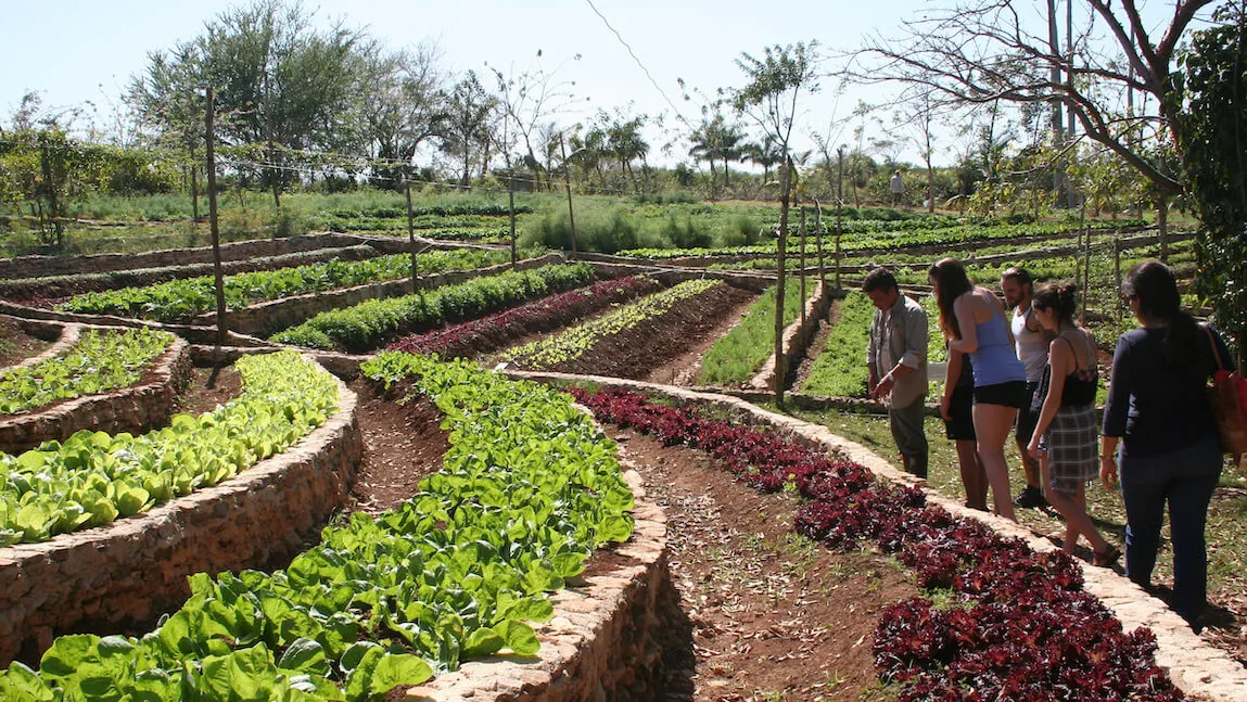 UVM students touring a farm