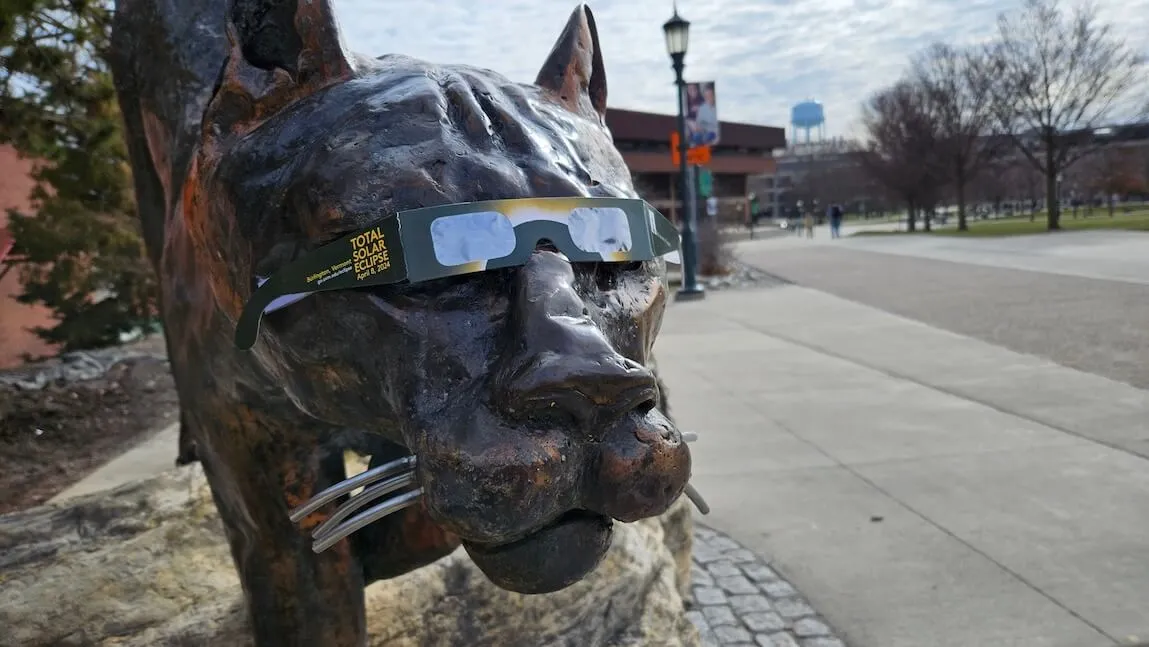 Catamount statue on the UVM campus wearing eclipse viewing glasses