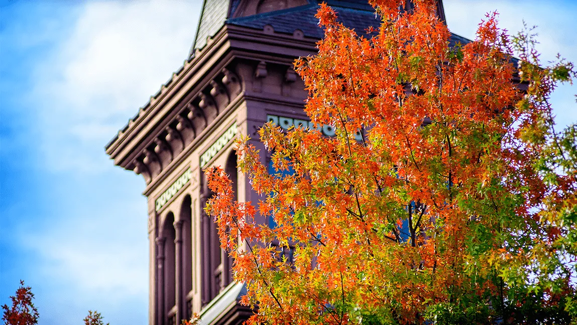 The Old Mill photographed from behind a colorful fall tree