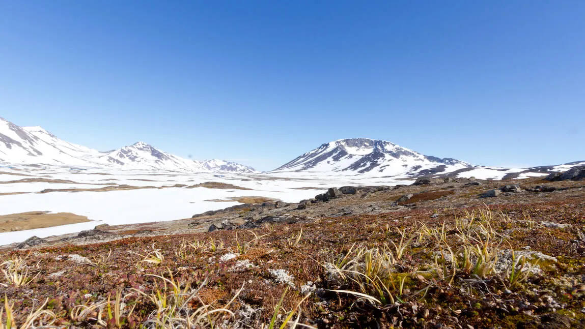 greenland tundra and mountains