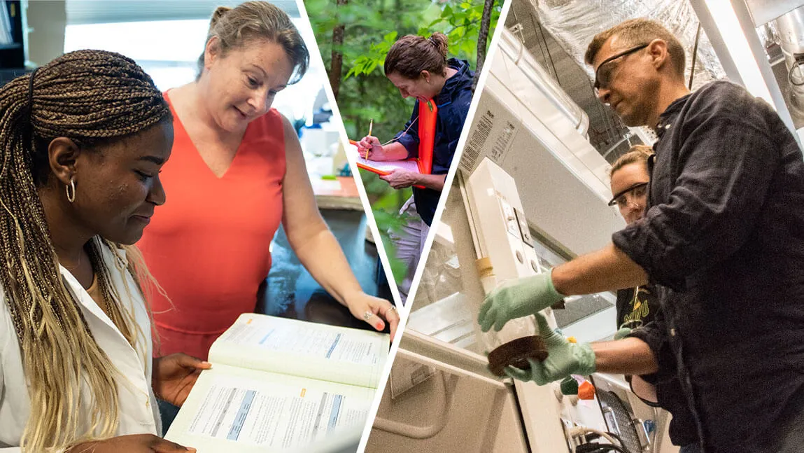 Photo showing research at UVM