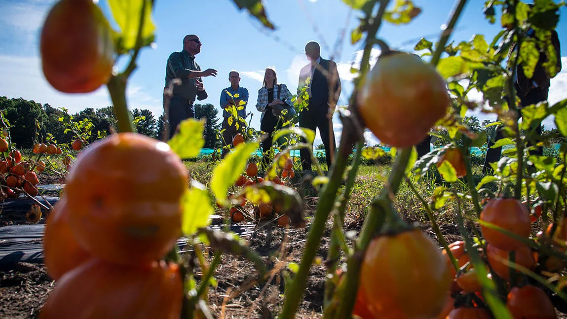 Photo of USDA officials visiting UVM Hort Farm