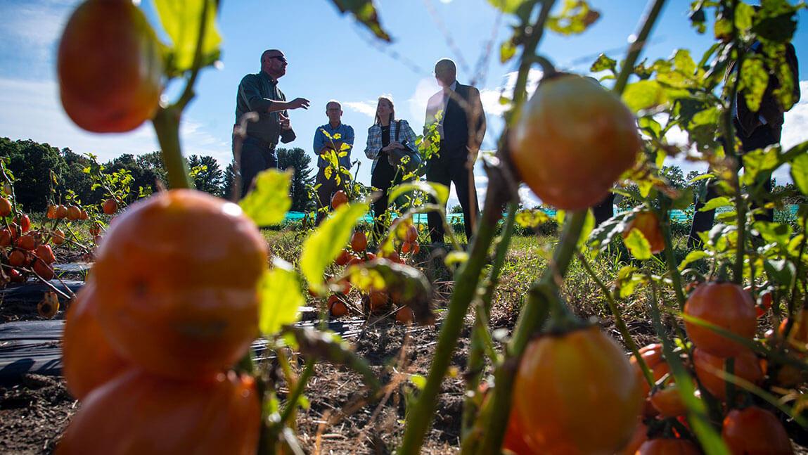 Photo of USDA officials visiting UVM Hort Farm