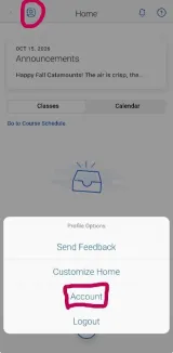 Set Up Notifications 1