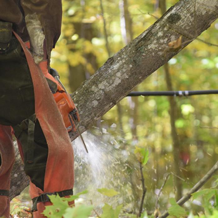 Person wearing protective gear and using a chainsaw