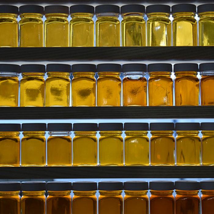Jars of Maple Syrup