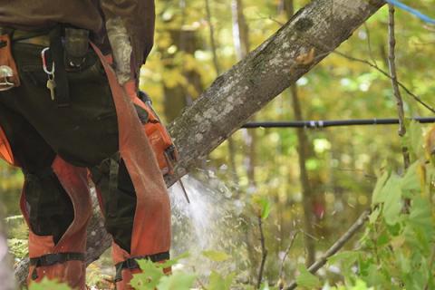 Person wearing protective gear and using a chainsaw