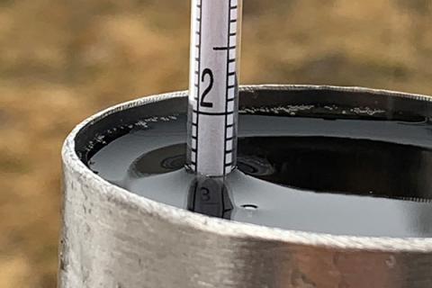 measuring tool in maple sap