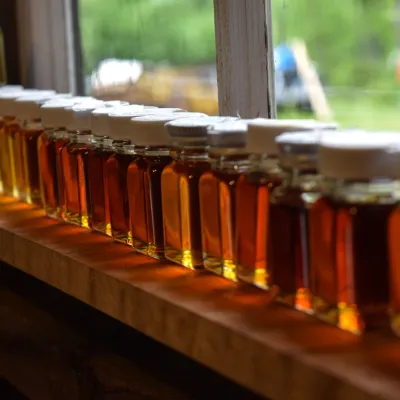 a line of small bottles of maple syrup