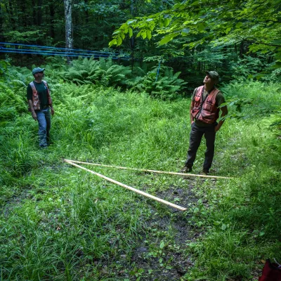 two people wearing safety vests in a forest with maple lines
