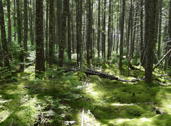 Image of ME Baxter State Park