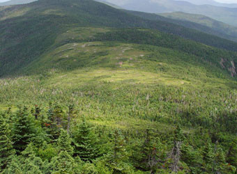 Image of Maine Ecological Reserves