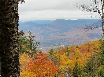 Image of NH Fox Research Forest
