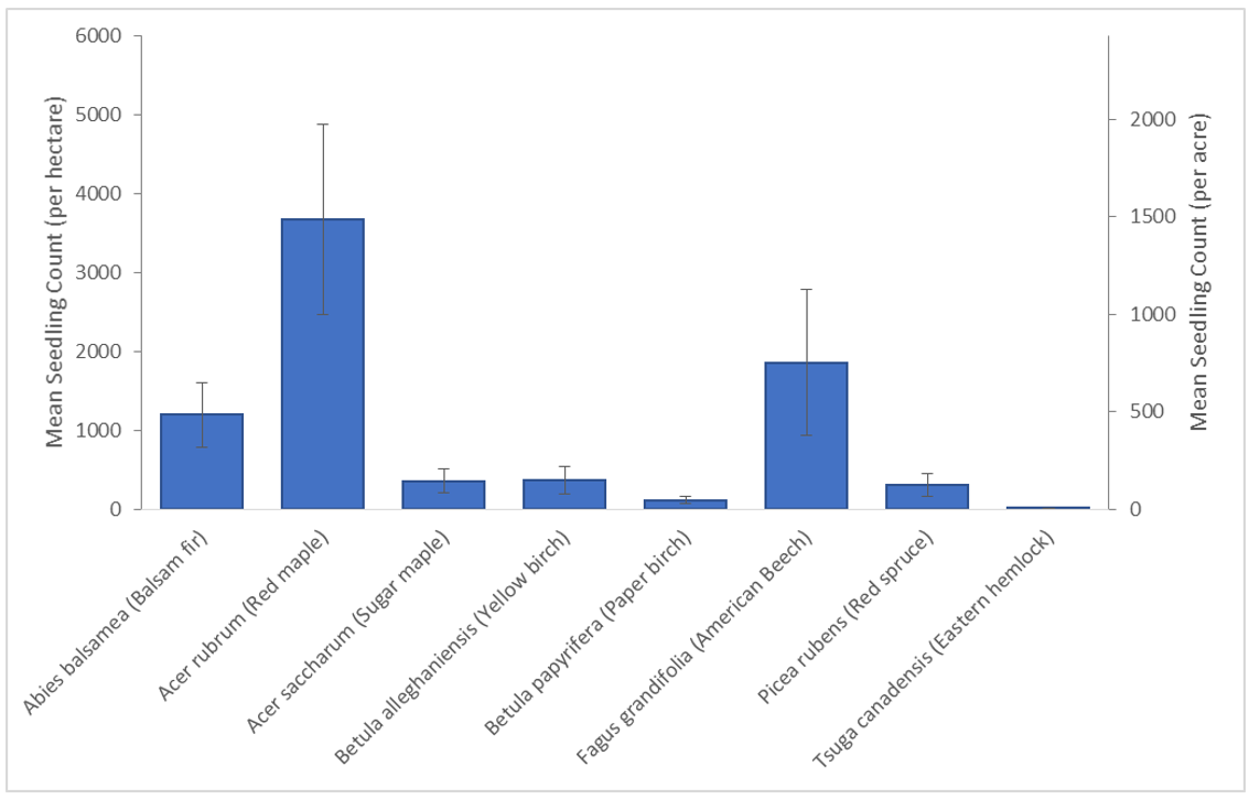 Mean number of seedlings per hectare (left axis) and per acre (right axis) at the VMC forest health monitoring plots in 2014 provide a picture of regeneration success and the potential composition of the future forest. Note the abundance of red maple and beech compared to sugar maple, yellow birch and red spruce, and the near absence of hemlock and paper birch.