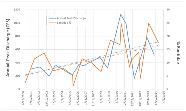 Comparison of annual peak flows at Ranch Brook in Stowe, VT, with density of Baetidae (Ephemeroptera) populations. Baetidae are early colonizers that often increase in abundance after disturbance events.