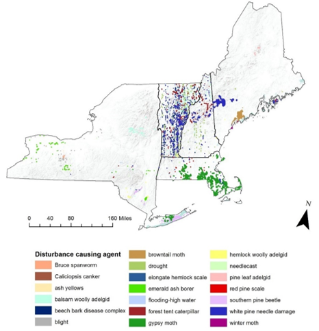 Locations of select forest disturbance agents in 2016 from region-wide aerial detection surveys. Disturbance polygons were increased in size for visibility. Only agents with considerable disturbance area are shown for clarity. States have differing quantities of disturbance polygons recorded, which is a combination of variable disturbance occurrence and agency priorities.