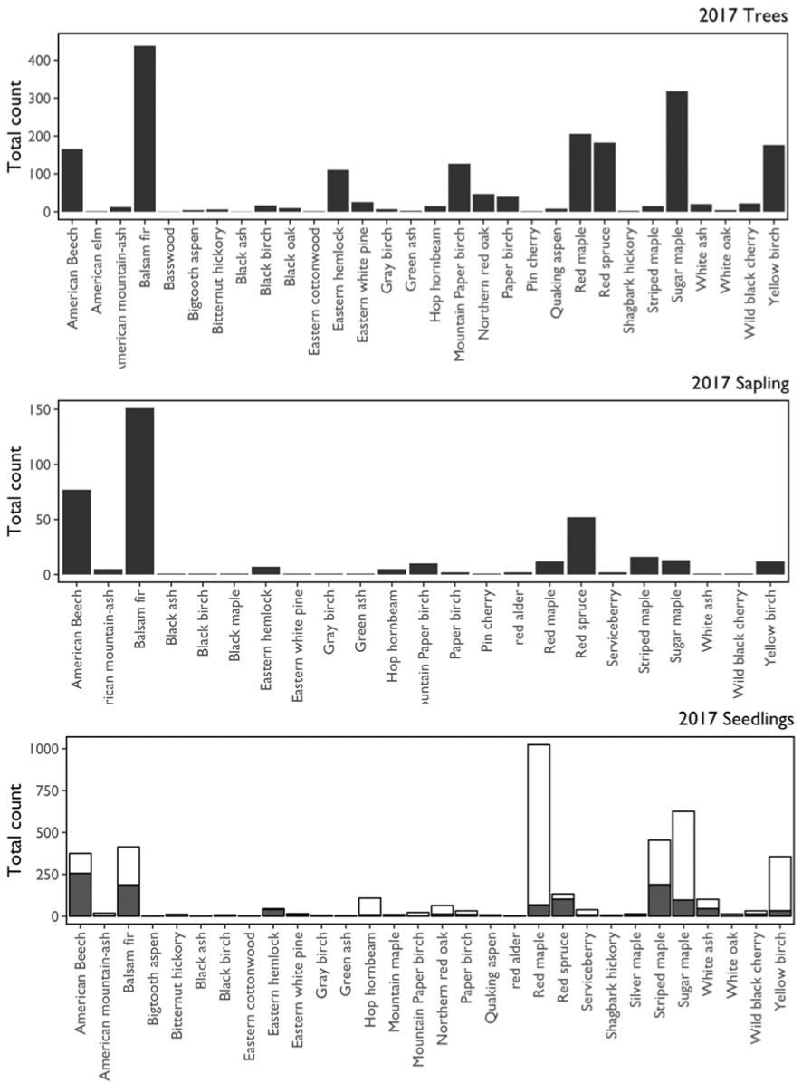Species composition of all dominant and codominant trees greater than 5 in. diameter (top), saplings between 1 in. and 5 in. diameter (middle), and seedlings less than 1 in. diameter (bottom) tallied across the 2017 FEMC Forest Health Monitoring plots. For seedlings, class 1 seedlings (<12 inches tall for hardwoods and <6 inches tall for softwoods) are depicted in white and class 2 (all seedlings <1 in. diameter that are not included in class 1) in gray.