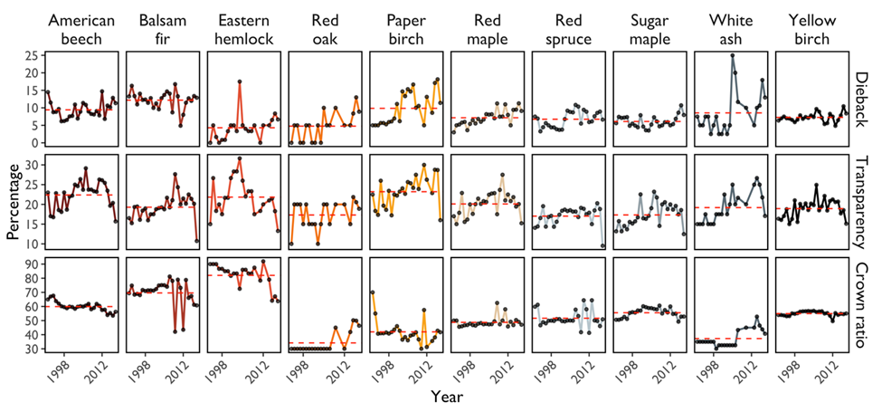 Tree crown health metrics: percent dieback, percent crown transparency, and live crown ratio (percentage of tree with foliage) for 11 dominant tree species in Vermont. Red dashed line shows the long-term mean (1993-2017) for that species and metric.