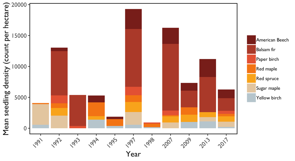 Mean seedling density (count per hectare) for selected species assessed at a subset of 19 FEMC forest health monitoring plots. Note that seedling counts were not assessed each year.