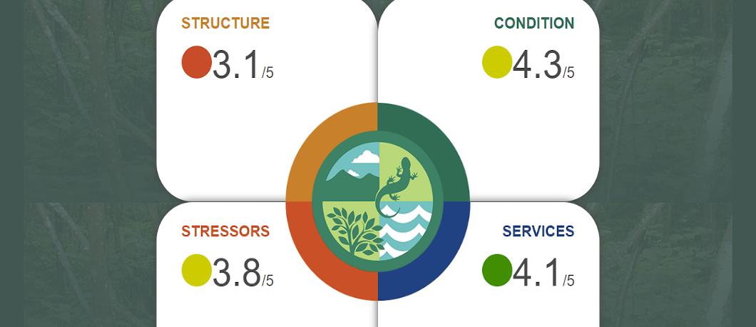 Forest indicators project