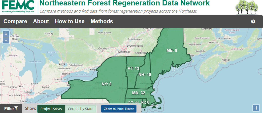 Forest regeneration project