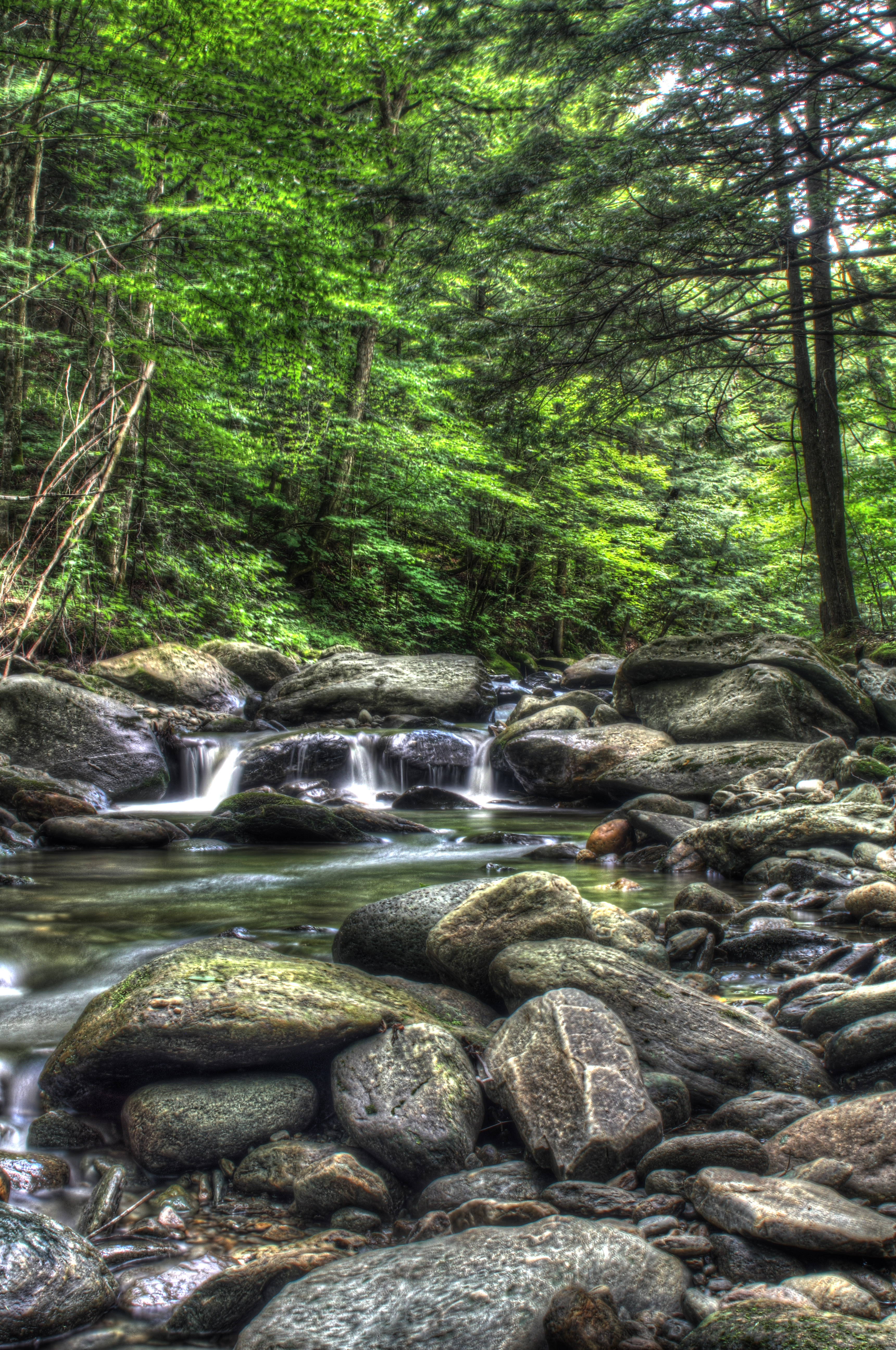 Main page image for Ranch Brook and West Branch Stream Flow Data from 2000 to current