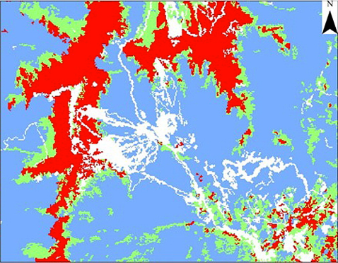 Main page image for Northeast Forest Landcover Classifications