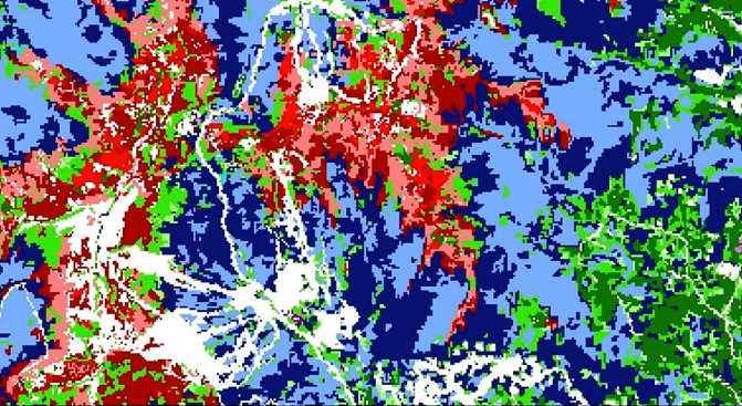 Main page image for Northeastern Forest Percent Basal Area Rasters by Species