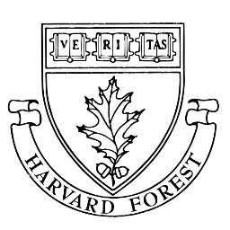 Main page image for Gap Partitioning Among Maples at Harvard Forest 1986-1989