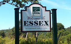 Main page image for Essex, Vermont Street Tree Inventory Data