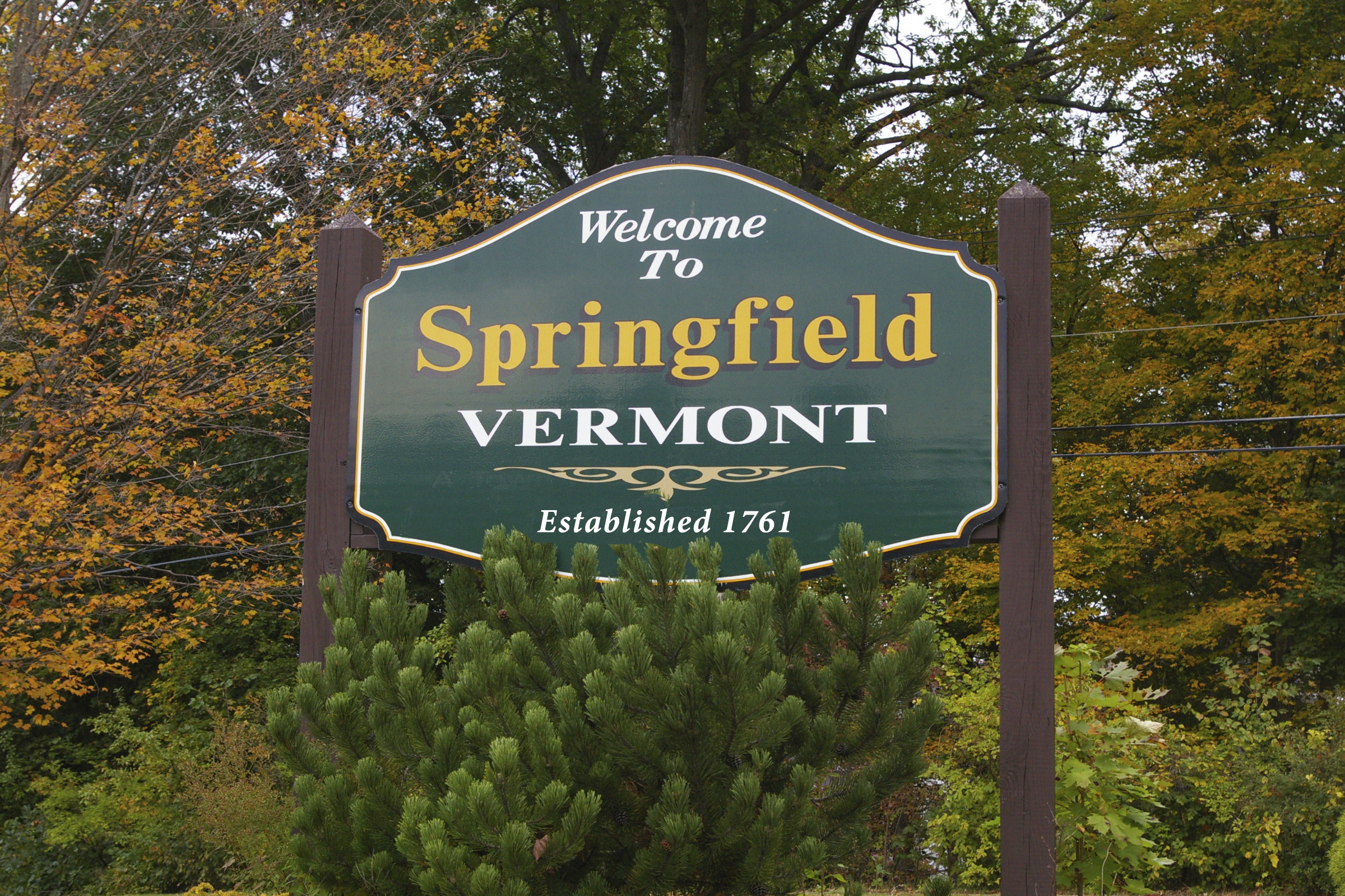 Main page image for Springfield, Vermont Street Tree Inventory Data