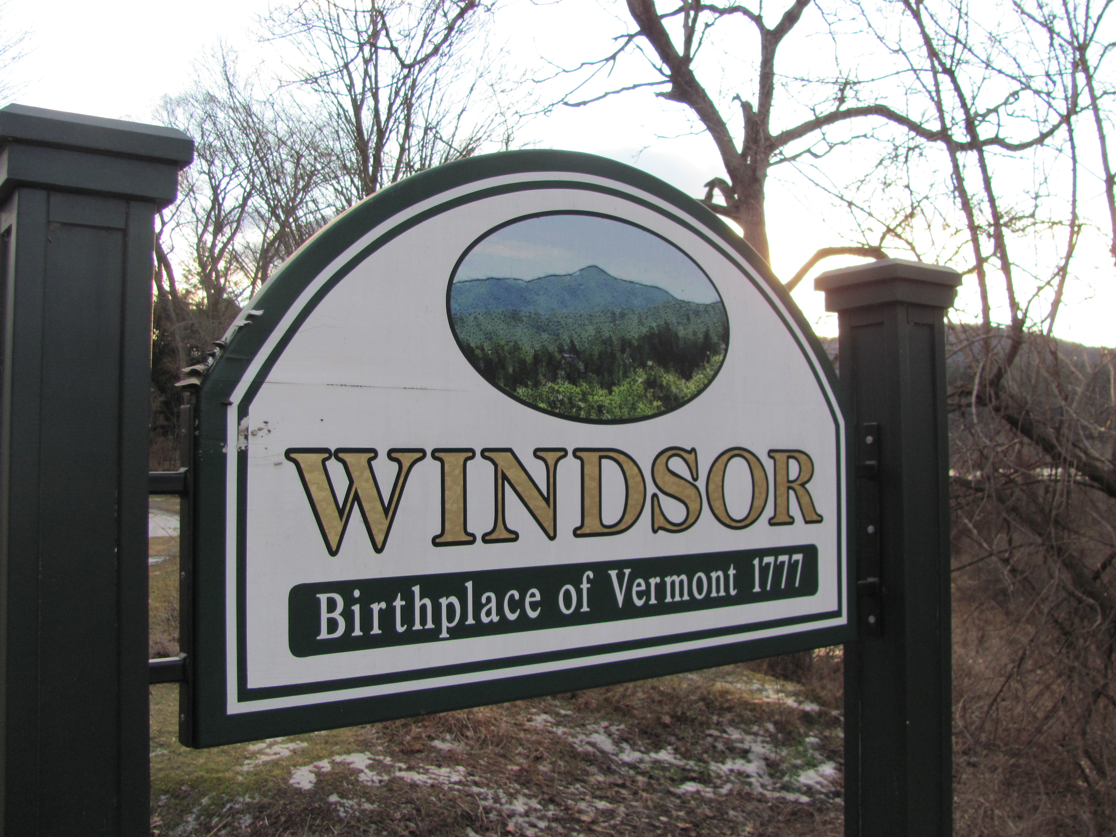 Main page image for Windsor, Vermont Street Tree Inventory Data