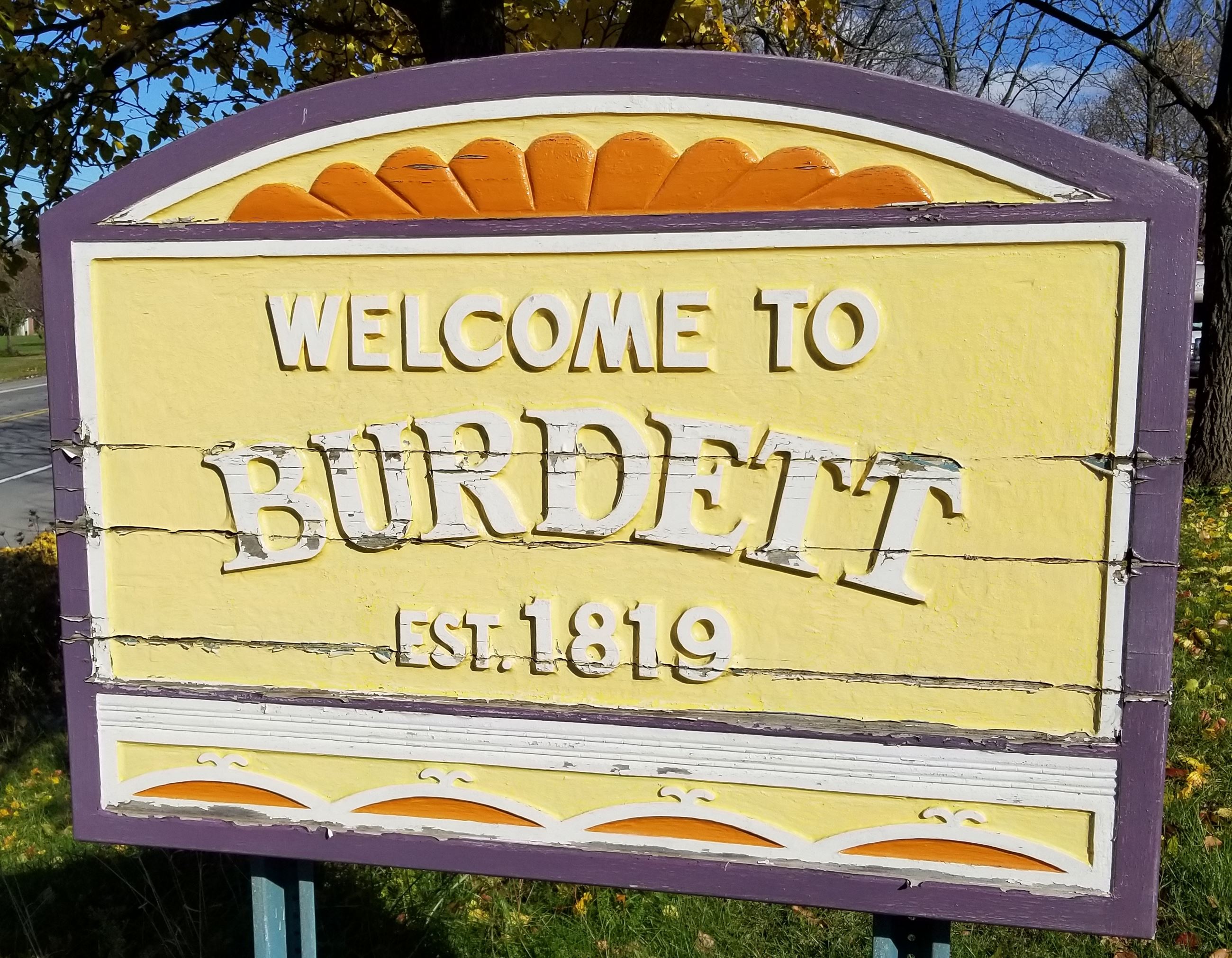 Main page image for Burdett, New York Street Tree Inventory Data