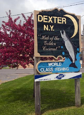 Main page image for Dexter, New York Street Tree Inventory Data